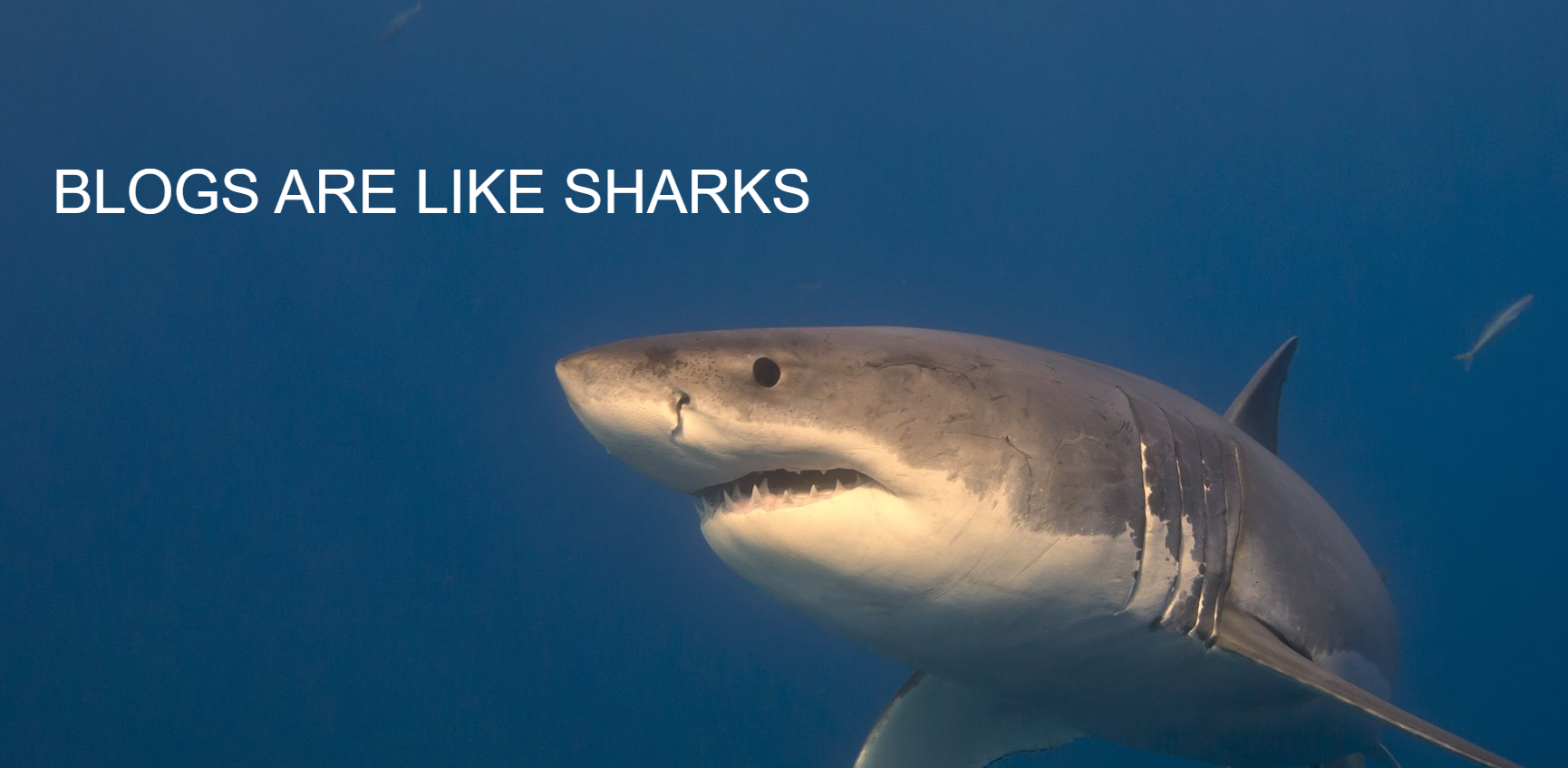 picture superiority 2